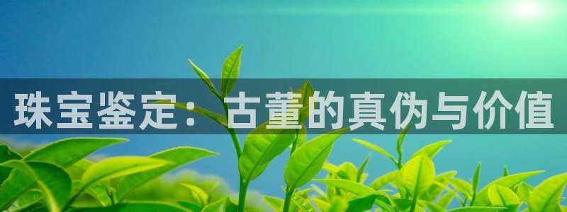 众腾娱乐平台:珠宝鉴定:古董的真伪与价值