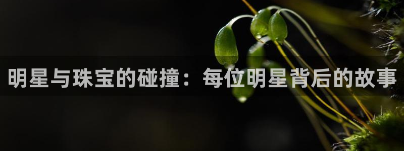 包头众腾娱乐:明星与珠宝的碰撞:每位明星背后的故事