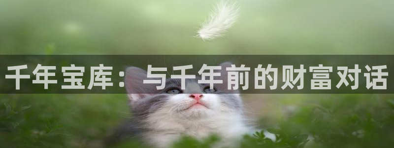 众腾娱乐蚀 7O935:千年宝库:与千年前的财富对话