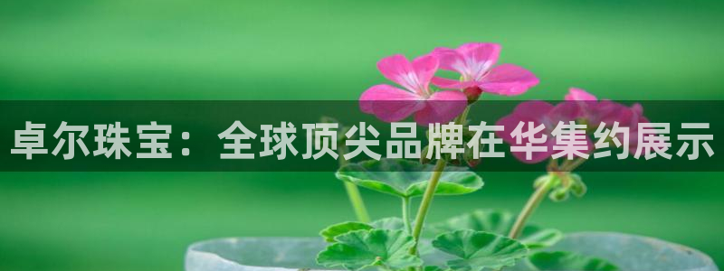 包头众腾娱乐密室逃脱:卓尔珠宝:全球顶尖品牌在华集约展示