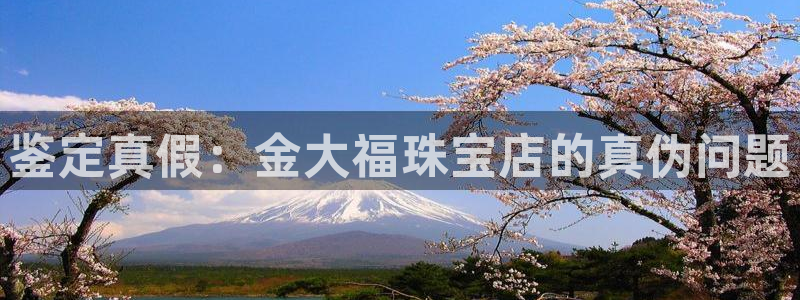 众腾娱乐招商:鉴定真假:金大福珠宝店的真伪问题