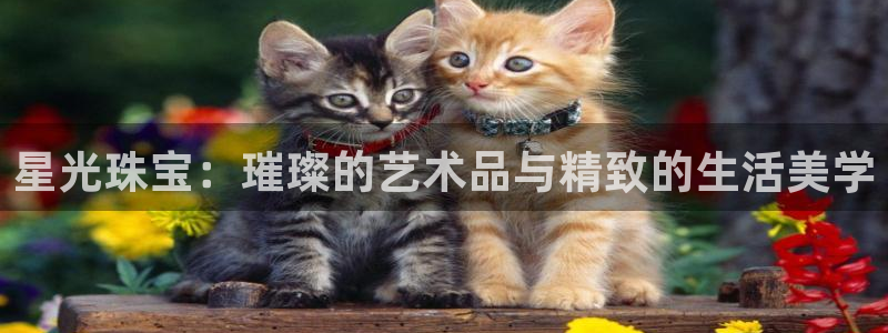 内蒙古众腾娱乐文化法人:星光珠宝:璀璨的艺术品与精致的生活美