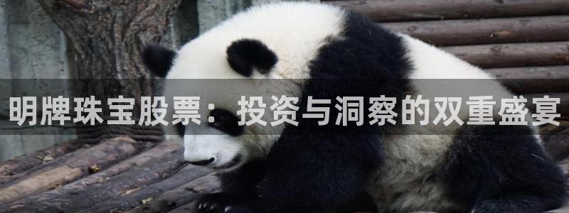 腾众娱乐:明牌珠宝股票:投资与洞察的双重盛宴
