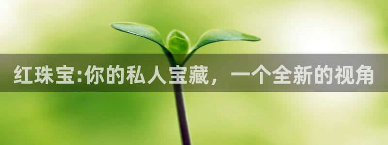 众腾娱乐平台下载:红珠宝:你的私人宝藏,一个全新的视角
