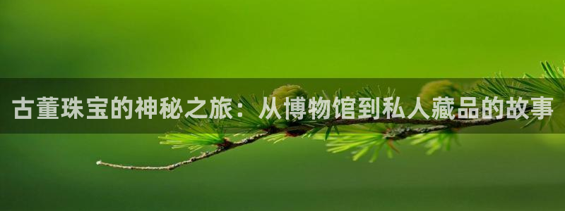 腾众娱乐的彩票靠谱吗:古董珠宝的神秘之旅:从博物馆到私人藏品