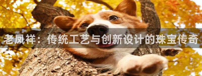 众腾娱乐注册:老凤祥:传统工艺与创新设计的珠宝传奇