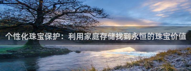 腾众娱乐是什么:个性化珠宝保护:利用家庭存储找到永恒的珠宝价