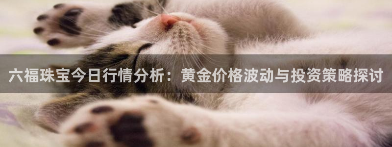 腾众娱乐:六福珠宝今日行情分析:黄金价格波动与投资策略探讨