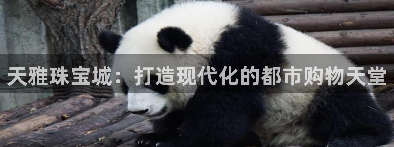 腾耀娱乐众推55312:天雅珠宝城:打造现代化的都市购物天堂
