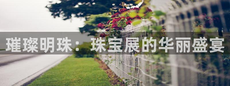 众腾娱乐集团有限公司:璀璨明珠:珠宝展的华丽盛宴